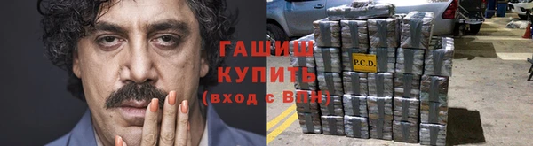 ГАЛЛЮЦИНОГЕННЫЕ ГРИБЫ Козловка