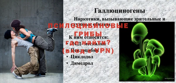 ГАЛЛЮЦИНОГЕННЫЕ ГРИБЫ Козловка