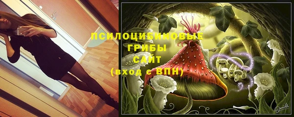 амф Краснослободск