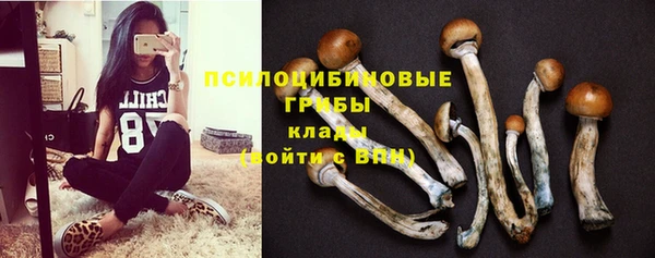 трава Кулебаки