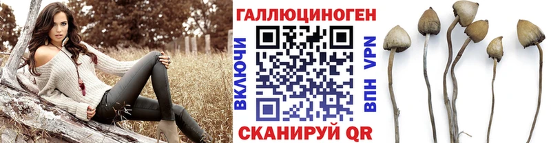 Псилоцибиновые грибы мицелий  Ковдор 