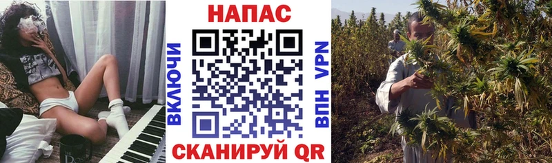 Шишки марихуана ГИДРОПОН  даркнет сайт  Ковдор 
